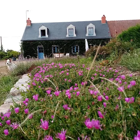 Le Clos Champetre Cactus
