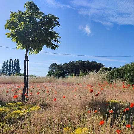 Le Clos Champetre Cactus *